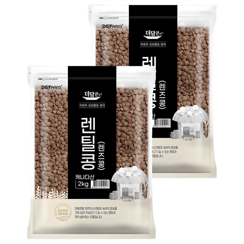 더담은 렌틸콩 렌즈콩, 2kg, 2개