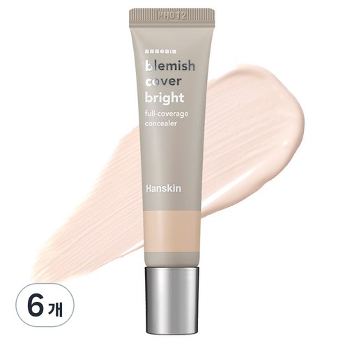 한스킨 블레미쉬 커버 내추럴 컨실러 12g, 브라이트, 6개