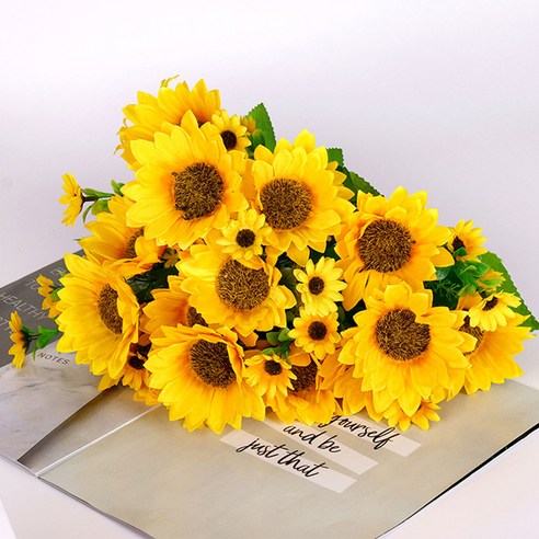 밝은 햇살, 조화의 아름다움, 활기찬 인테리어