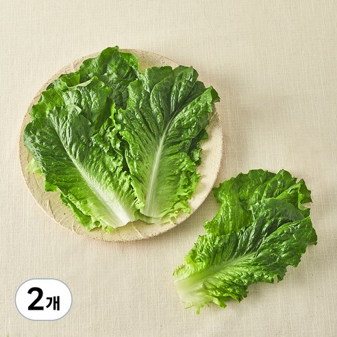 [로켓프레시] 친환경 한끼 청상추