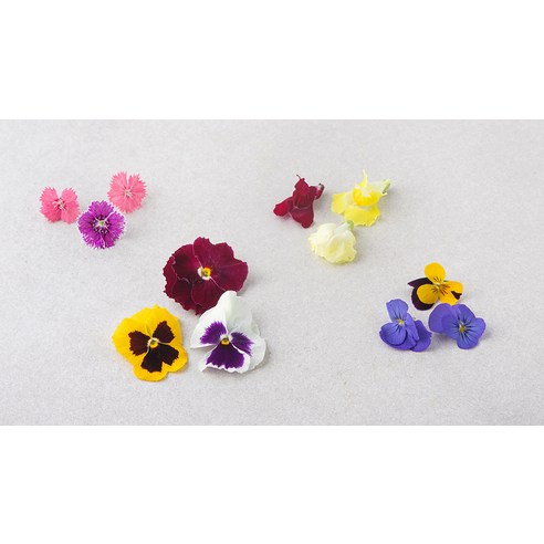 식탁 위에 피어나는 예술, 국내산 식용화로 특별한 미식 경험을 선사하세요