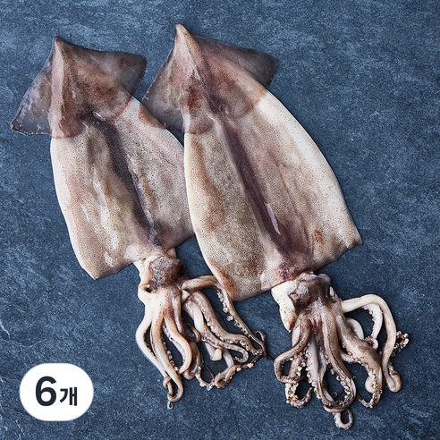 부산 13번 중매인 산지직송 해동 손질 오징어 (냉장), 240g, 6개