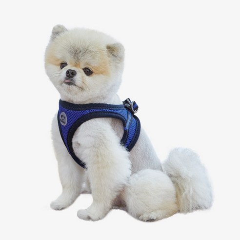 리얼펫 4계절슬림 조끼하네스, ROYAL BLUE, 1개