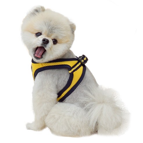 리얼펫 4계절슬림 조끼하네스, YELLOW
