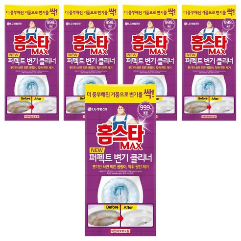 홈스타 맥스 퍼펙트 변기 클리너, 540ml, 5개