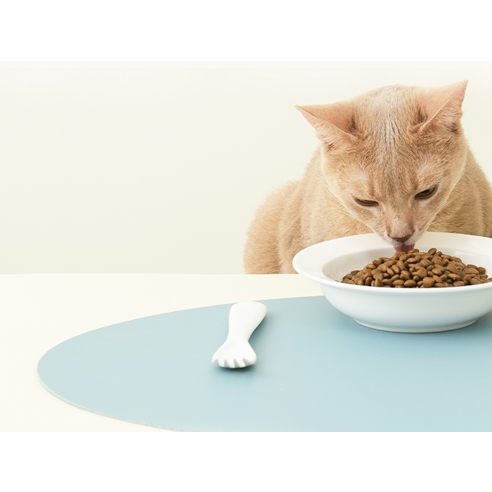 ANF 식스프리 인도어 캣 사료, 냥이의 건강과 행복을 위한 완벽한 선택!