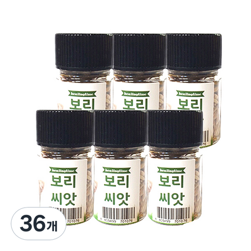 힐링타임 캣그라스 씨앗, 보리, 36개