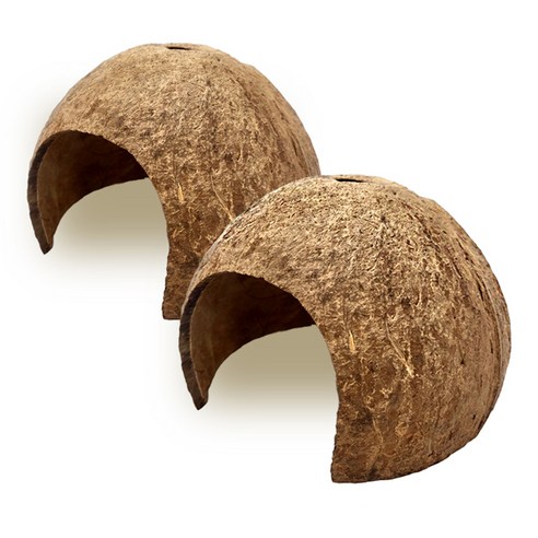 그로비타 코코넛 하우스 은신처, 랜덤 발송, 2개