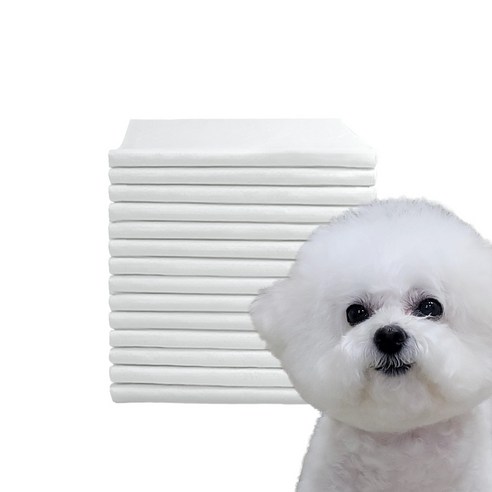 강아지 배변 관리의 혁명