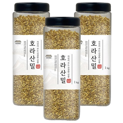 건강곡간 호라산밀 통, 1kg, 3개