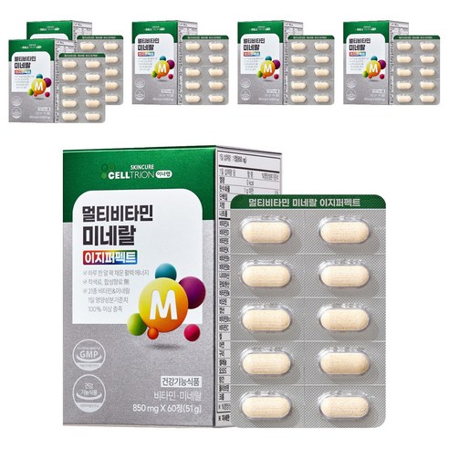 이너랩 멀티비타민 미네랄 이지퍼펙트, 60정, 6개