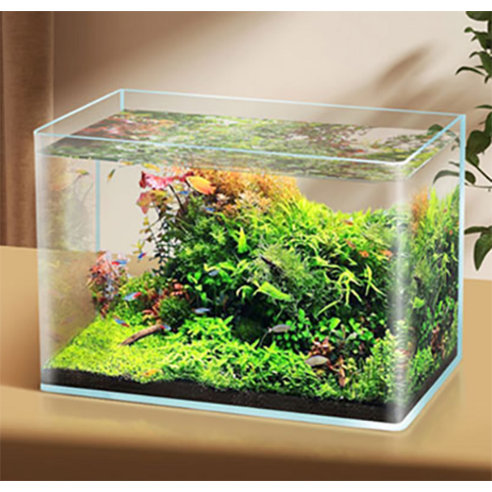 당신의 공간에 싱그러움을 더하는 수아쿠아 타나 라운드 미니 오픈 수조