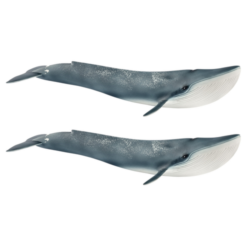 슐라이히 대왕고래 SL14806, 2개