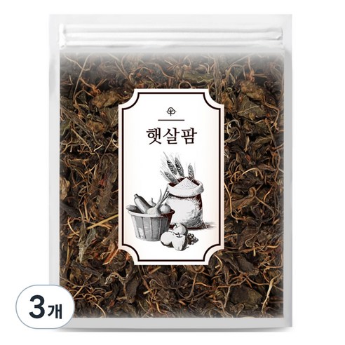 햇살팜 국산 건고추잎, 100g, 3개