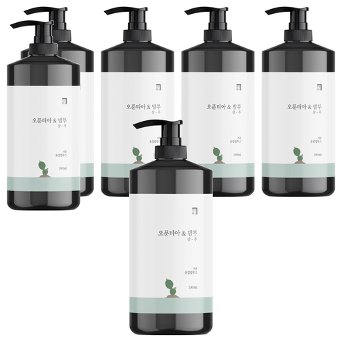 살림백서 오푼티아 앤 밤부 퍼퓸 샴푸 유칼립투스향, 1000ml, 6개