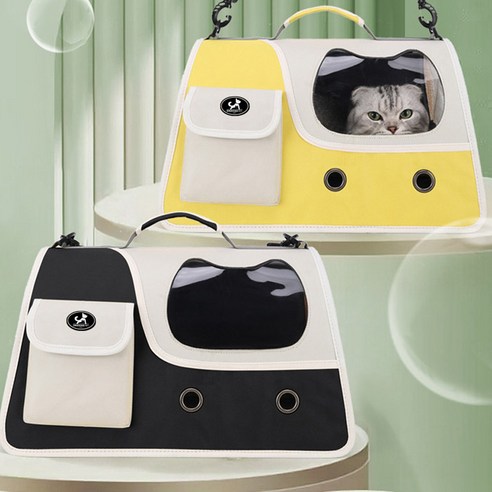 딩동펫 와이드 통풍 숄더백: 반려동물과의 행복한 동행을 위한 최고의 선택