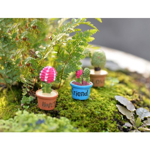 작은 공간에서 생동감 넘치는 미니어처 정원을 연출하는 즐거움