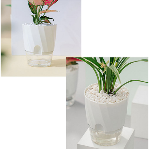 물 주기 걱정 없이, 싱그러운 초록을 내 공간에!