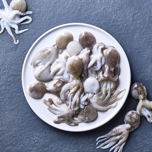 냉동실에 쟁여두고 언제든 맛있는 바이오션 주꾸미