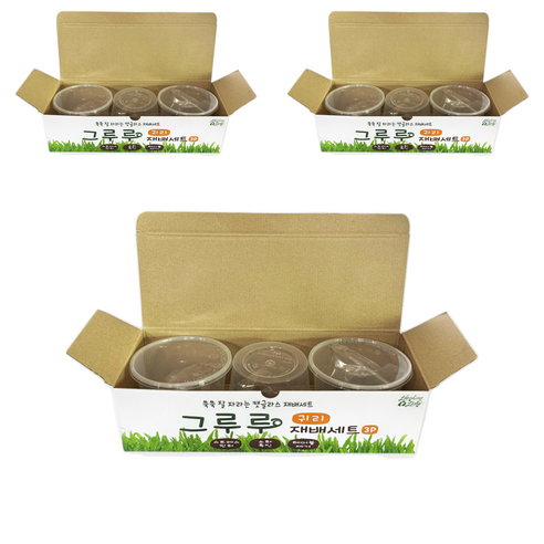 힐링타임 그루루 캣그라스 재배세트 3p, 귀리, 3세트