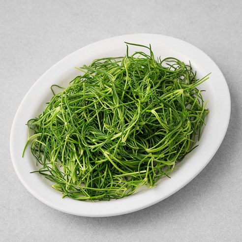 국내산 세발나물