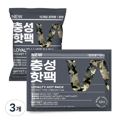 충성 NEW 핫팩 포켓용 중형 100g x 10p, 3개