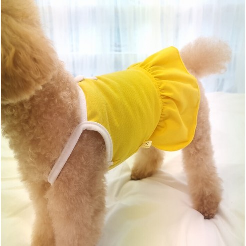 伴侶  寵物用品  小狗  貓  聯合使用  服裝  狗  狗  狗  狗