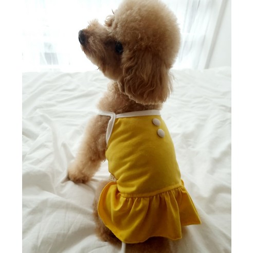 伴侶  寵物用品  小狗  貓  聯合使用  服裝  狗  狗  狗  狗