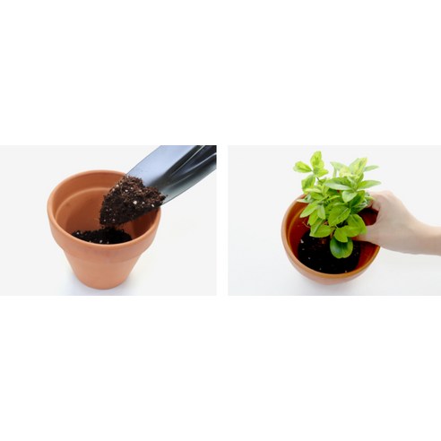 식물을 위한 완벽한 솔루션