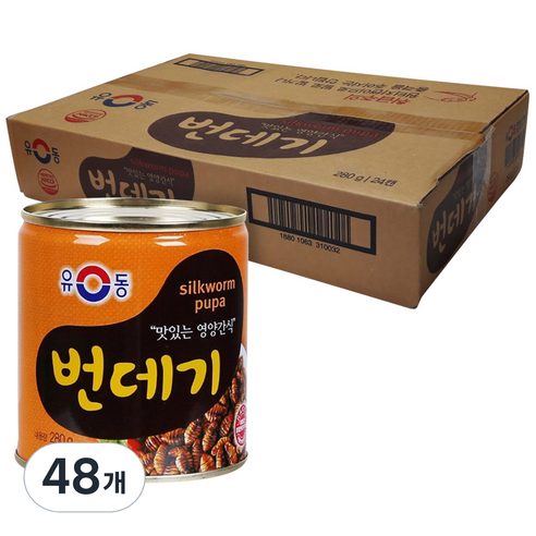 유동 번데기, 280g, 48개