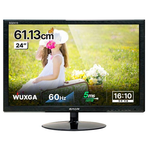 라온디스플레이 WUXGA IPS 모니터, 61.1cm, SG2410 LED