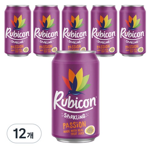 루비콘 패션프루트 탄산음료, 330ml, 12개