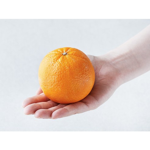 태양을 머금은 듯 달콤한 유혹, 프레시몬 카라카라 오렌지