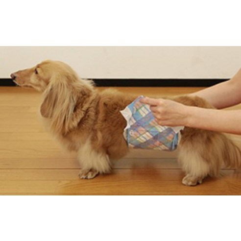 소형 남아용 강아지のための 편안하고 위생적인 매너웨어 엘지유니참 강아지 기저귀
