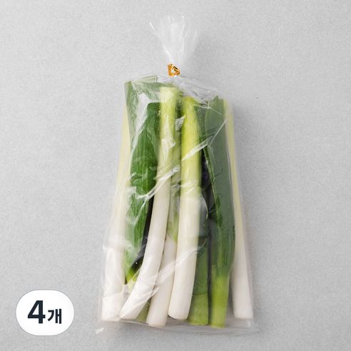 국내산 절단 대파, 300g, 4개