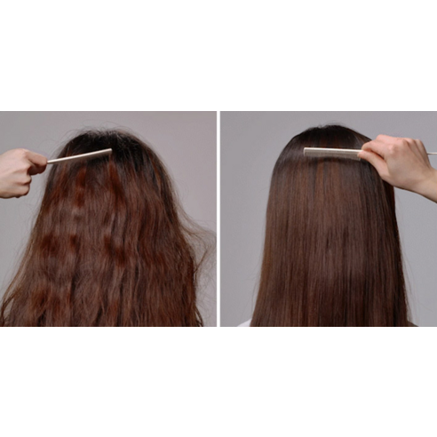 자연의 힘으로 건강한 모발을 되찾다