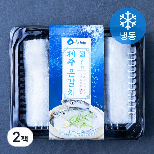 비비수산 제주 손질 은갈치 2마리 (냉동), 420g(대), 2팩