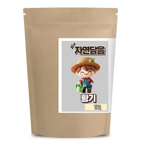 자연담음 황기, 500g, 1개