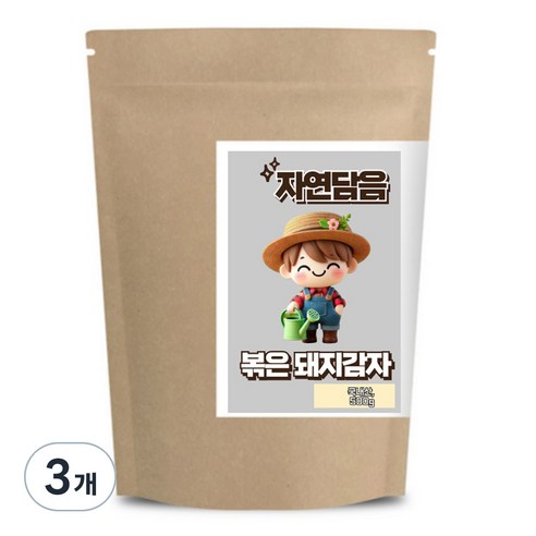 자연담음 볶은 돼지감자 국내산, 500g, 3개