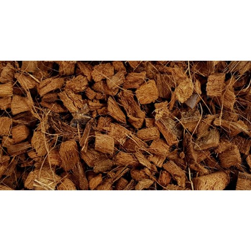 Fin 코코칩으로 소라게와 육지거북이에게 쾌적하고 건강한 보금자리를 선물하세요!