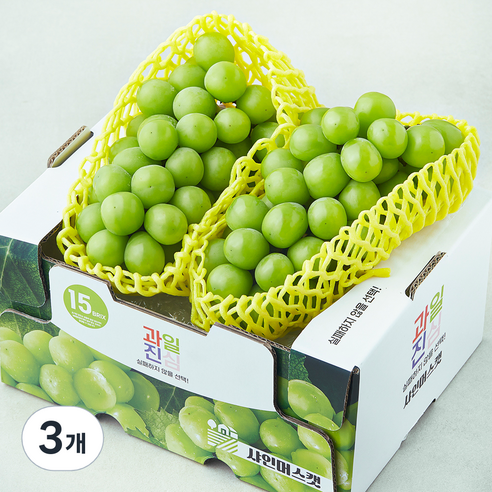 과일진심 샤인머스캣 청포도, 3개, 1.2kg