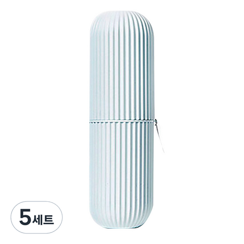 디엠코퍼레이션 알럽홈 멀티 칫솔치약 케이스 민트, 5세트
