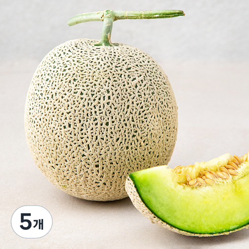 곡성 고당도 맘에쏙 멜론, 1.3kg, 5개