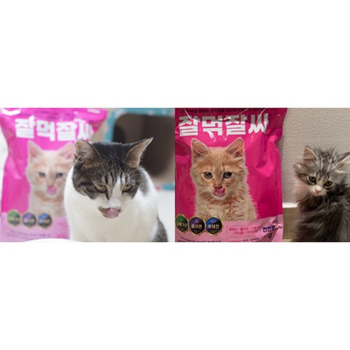 눈물 쏙! 건강 쑥쑥! 잘먹잘싸, 냥이 건강을 위한 최고의 선택!