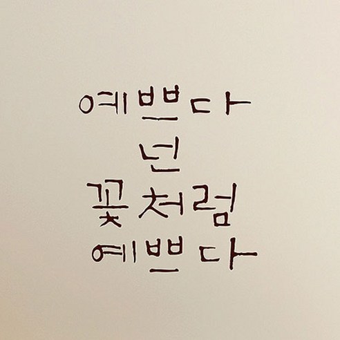 캘리그라피 포인트스티커 예쁘다 넌 꽃처럼, 진갈색