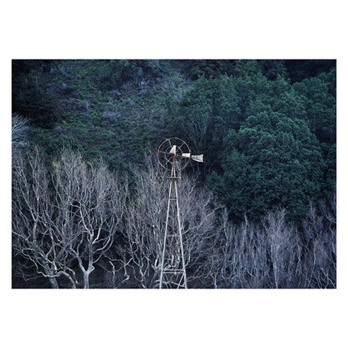 북유럽 스타일 인테리어액자 (A1), art no. 0099