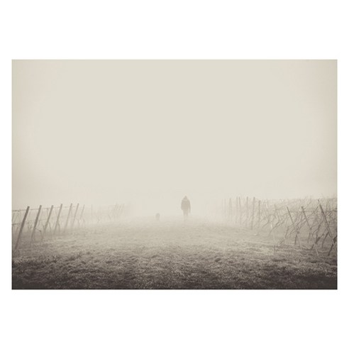 북유럽 스타일 인테리어액자 (A1), art no. 0171
