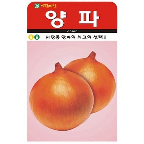 저스틴앤클로이 양파300립 채소뿌리, 2개