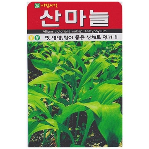 저스틴앤클로이 산마늘50립 채소산채, 2개