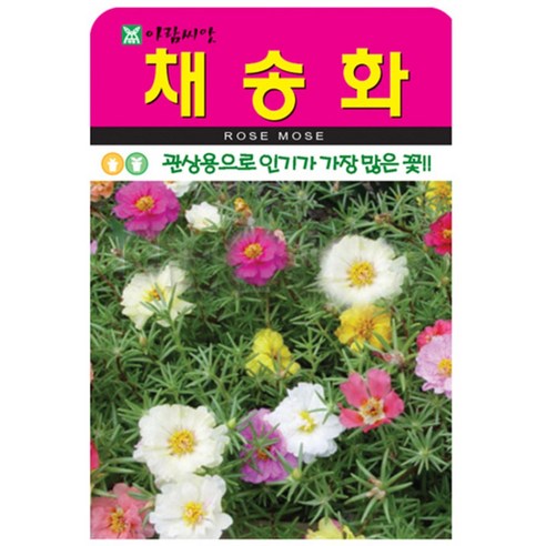 저스틴앤클로이 채송화5000립 고급꽃씨, 3개